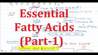 8 Essential Fatty Acids Part1 [upl. by Bloem]