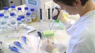 Using a Micropipette  University of Leicester [upl. by Aerdna]