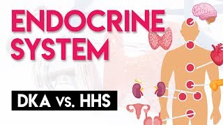 DKA vs HHS  Endocrine System Part 4 [upl. by Samuelson]