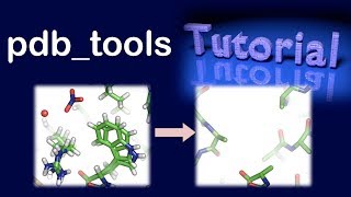 How to run PDB tools via the GUI [upl. by Natsirhc139]