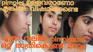 How To Remove Pimples Overnight Malayalam  Remove Pimples Within One day  How To Remove Acne Marks [upl. by Leinehtan]