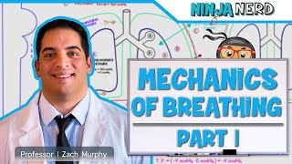 Respiratory  Mechanics of Breathing Pressure Changes  Part 1 [upl. by Jaymie944]