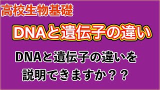 高校生物基礎「DNAと遺伝子の違い」 [upl. by Medin]