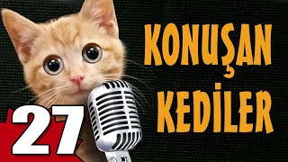 Konuşan Kediler 27  En Komik Kedi Videoları [upl. by Eohce]