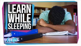 How to Learn While You Sleep [upl. by Lemuelah]