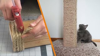 DIY Cat Scratching Post [upl. by Soilissav]