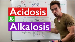 Acidosis and Alkalosis MADE EASY [upl. by Yntirb]