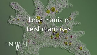 Parasitologia  Aula 08  Leishmania e Leishmanioses [upl. by Heyes835]