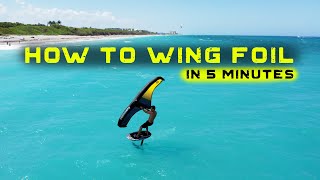 How to WING FOIL in 5 minutes [upl. by Euqinay176]