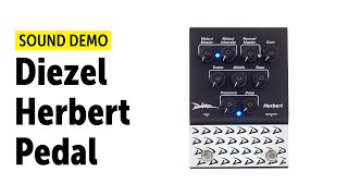 Diezel Herbert Pedal sound demo no talking [upl. by Ladnek]