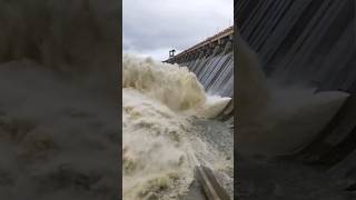 Hirakud Dam Gate Opening 2024 shorts hirakuddam flood [upl. by Adnohsak]