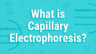 What Is Capillary Electrophoresis [upl. by Hylton742]