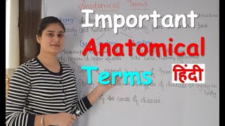 Important Anatomical Terms in Hindi  Common Anatomical Terms  Anatomical Terms for Beginners [upl. by Alyn]