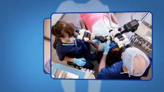 Endodontic Retreatment Explained [upl. by Encratia]