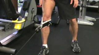 VMO Exercises  Vastus Medialis Cable Technique [upl. by Wertz273]