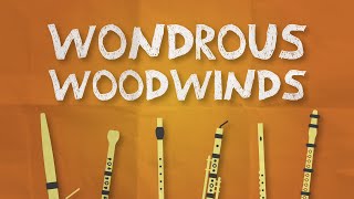 An Orchestra Adventure  Webisode 1 Wondrous Woodwinds [upl. by Jerri]