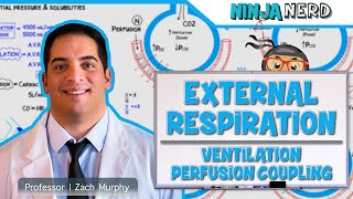 Respiratory  External Respiration Ventilation Perfusion Coupling [upl. by Tema878]