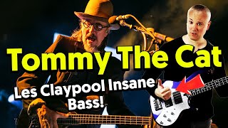 Tommy The Cat Primus  Les Claypools Toughest Riff Bass Tab amp Tutorial [upl. by Akemhs]