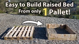 How to Build a Raised Bed from 1 Pallet FREE and Easy [upl. by Barnum]