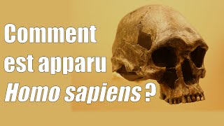 Comment est apparu Homo Sapiens [upl. by Dine832]