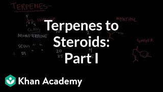 From terpenes to steroids part 1 Terpenes  Endocrine system physiology  NCLEXRN  Khan Academy [upl. by Shamma382]