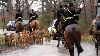 Chasse a courre au cerf  partie 2 [upl. by Aimaj848]